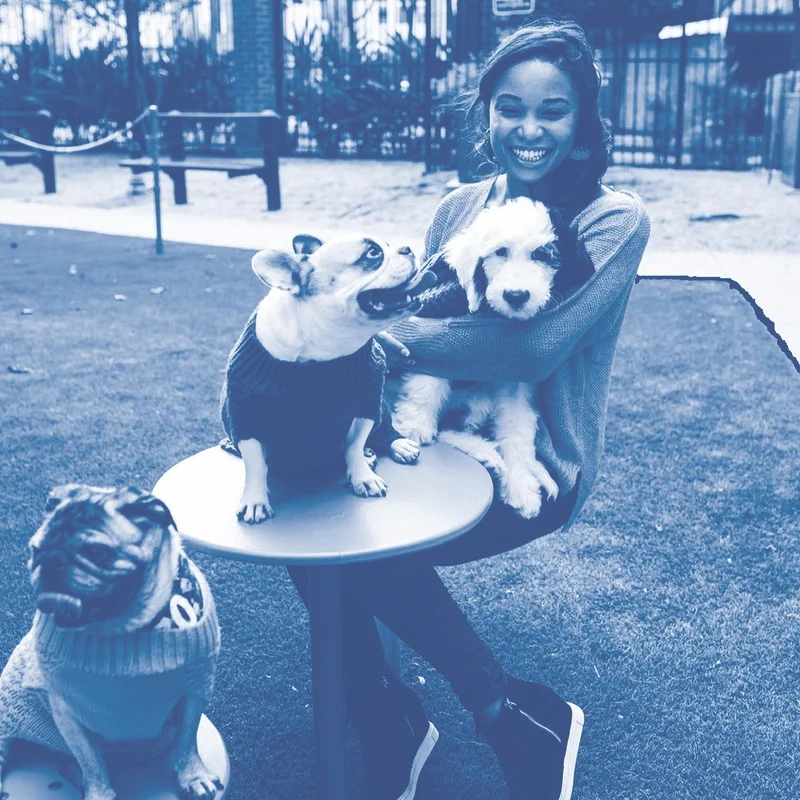 East Dogs founder spending time outdoors with a happy group of dogs